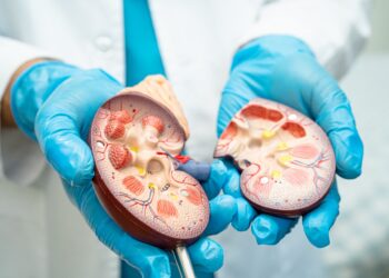Deben vacunarse VS Hepatitis personas con ERC