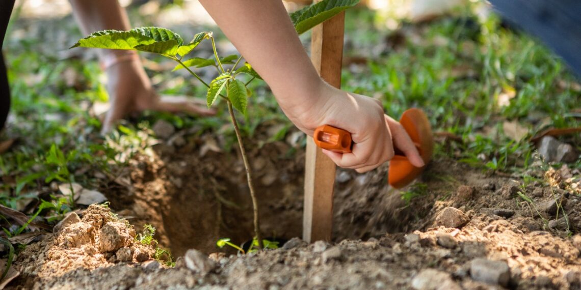 Tramontina destaca su compromiso con una cadena de valor sustentable