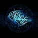 Las neurociencias y su impacto en el Coaching