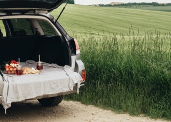 ¿Cómo comer mejor durante un viaje de verano en auto?