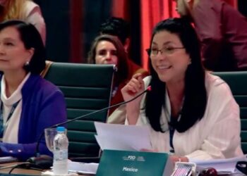 Necesaria, la paridad e igualdad en cada uno de los cargos para tener un mundo justo y sustentable: Guerra Castillo