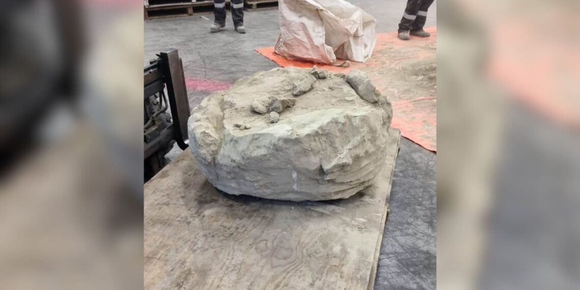 Incautan en Países Bajos más de 3 toneladas de metanfetamina procedente de México