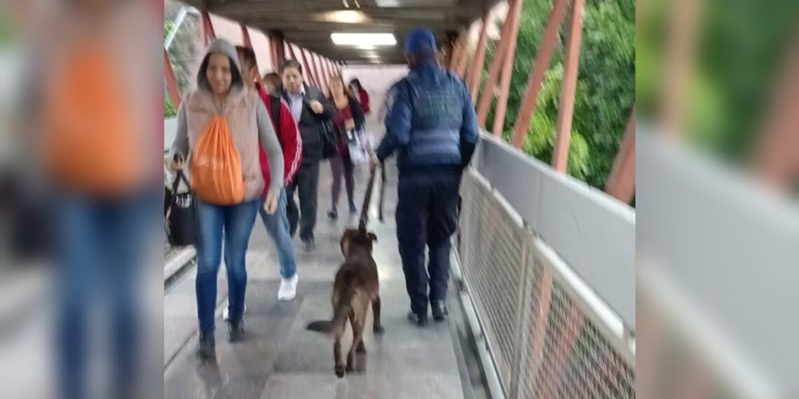 Retiran a perrito de vías tras interrumpir servicio en Línea B del Metro