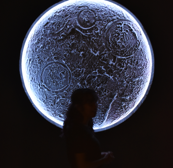 Vive la Experiencia Inmersiva «El Principito», una historia de amistad!