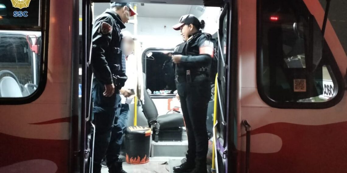 Hallan víbora en un camión de pasajeros en Pantitlán