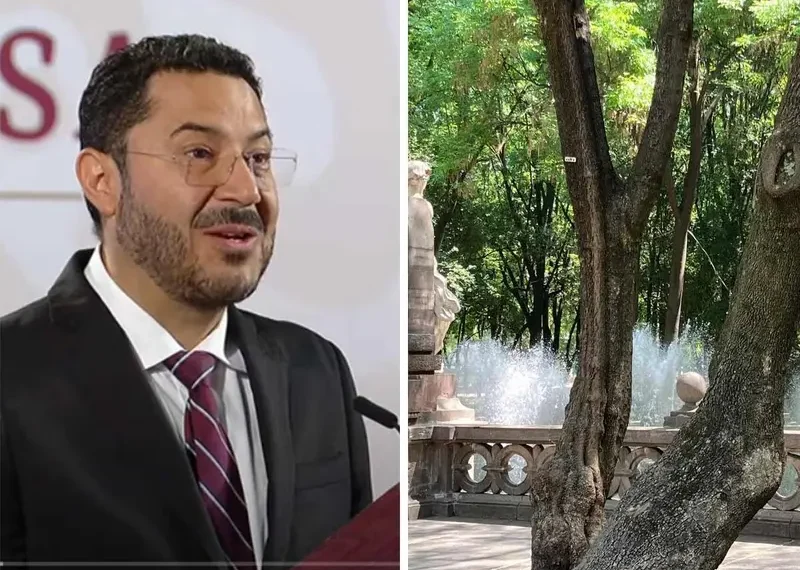 Proyecto ‘Chapultepec: Naturaleza y Cultura’ tiene un avance general de 60%, señala Batres