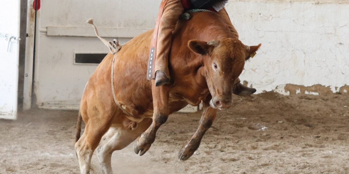 Pueblos Mágicos de Jalisco serán sede del Encuentro Internacional del Mariachi y la Charrería
