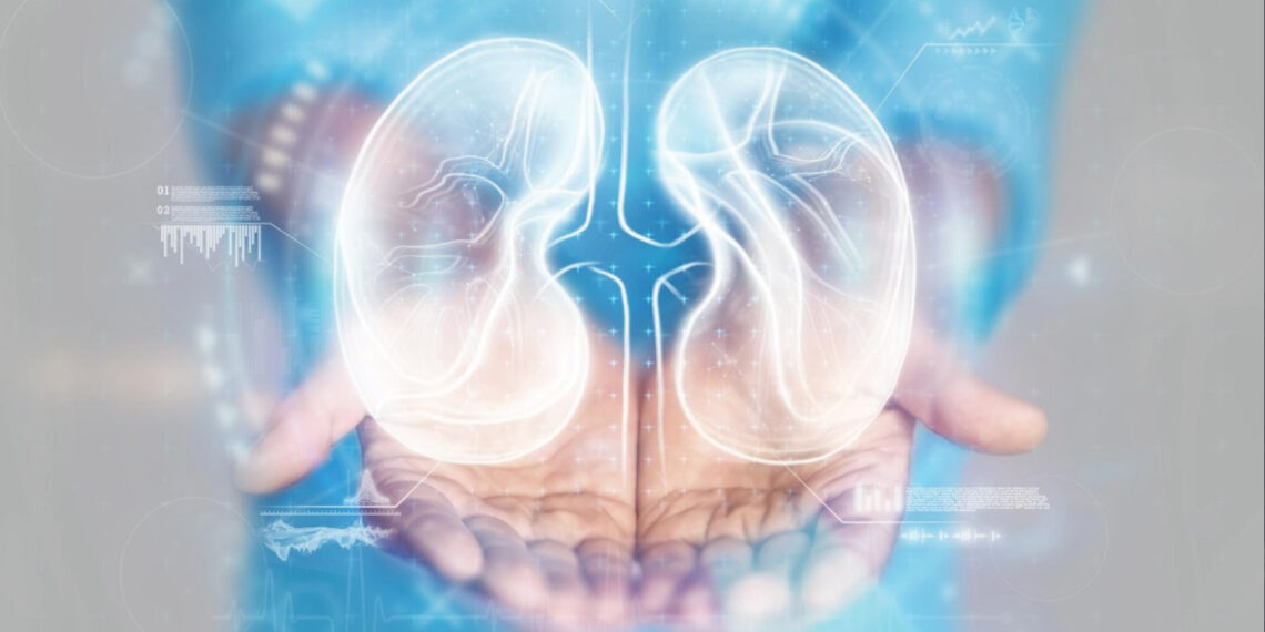 México entre los países con mayor índice de mortalidad por Enfermedad Renal en el mundo