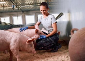 Boehringer Ingelheim presenta TwistPak®: Innovación tecnológica para la combinación de vacunas porcinas