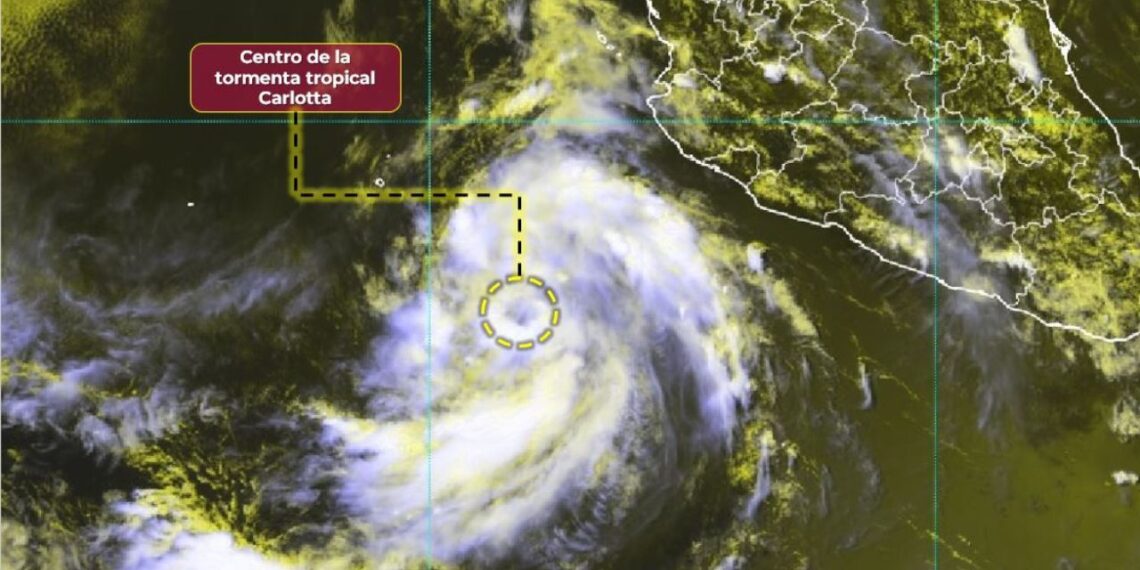 Se forma la tormenta tropical “Carlotta” en el Pacífico