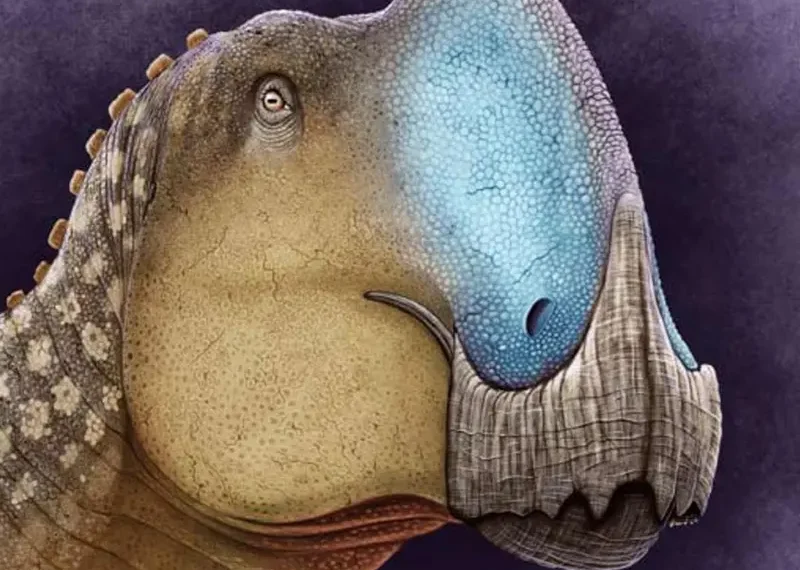 Descubren una nueva especie de dinosaurio en Coahuila