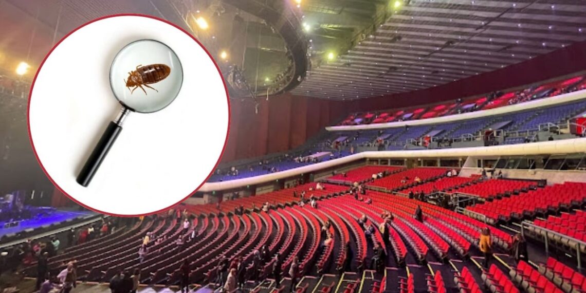 Durante concierto en el Auditorio Nacional captan chinches en los asientos