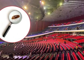 Durante concierto en el Auditorio Nacional captan chinches en los asientos