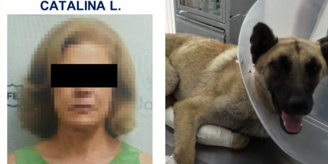 Dan prisión preventiva a mujer que arrastró a perrito con su camioneta en Tlaquepaque