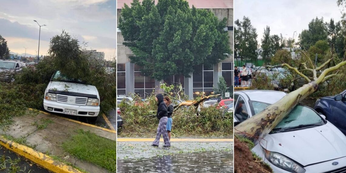 Suspenden clases en FES Aragón tras tormenta y caída de árboles