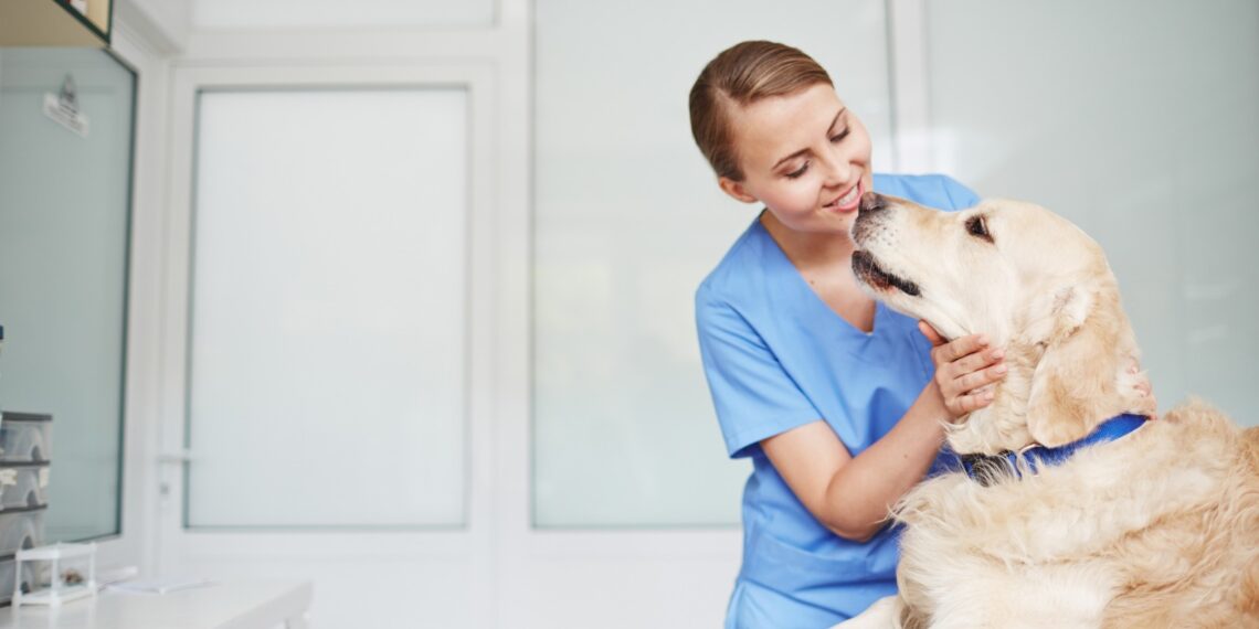 ¿Ya vacunaste a tu perro contra la rabia? La importancia de vacunarlo anualmente