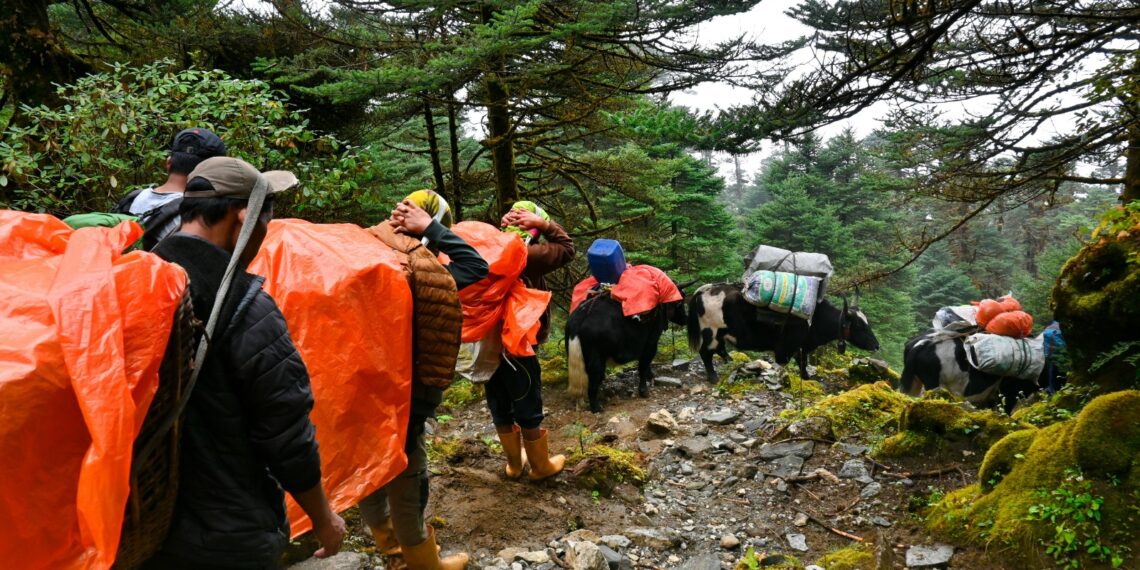 ¡Las filas son historia! Scan&Go ideal para este Socio Fest