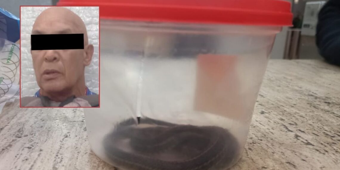 Detienen a hombre con serpiente de agua en el Metro de la CDMX