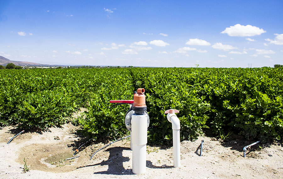 Qué son las Climatech y por qué están redefiniendo la sostenibilidad hídrica en Latinoamérica