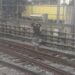 Sujeto entra a la zona de vías de la línea A del Metro CDMX