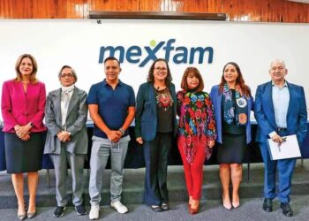 La Telenovela como Medio para la Concientización Social: "Papás por Conveniencia"