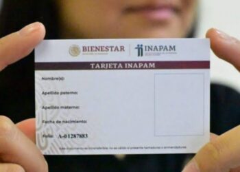 Estos son los requisitos para que los adultos mayores obtengan la credencial del INAPAM
