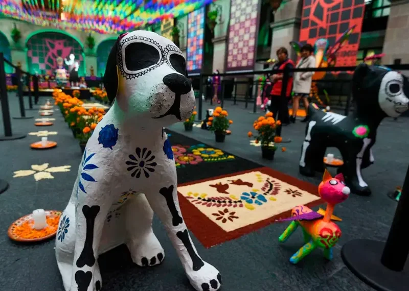 ‘Mictlánimal’, una mega ofrenda muy ‘perrona’ en Coyoacán