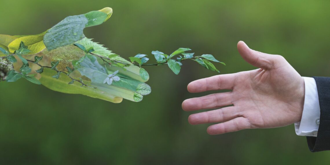 Grupo GRISI presenta Informe de Sustentabilidad  y refuerza su compromiso con el medio ambiente y la sociedad