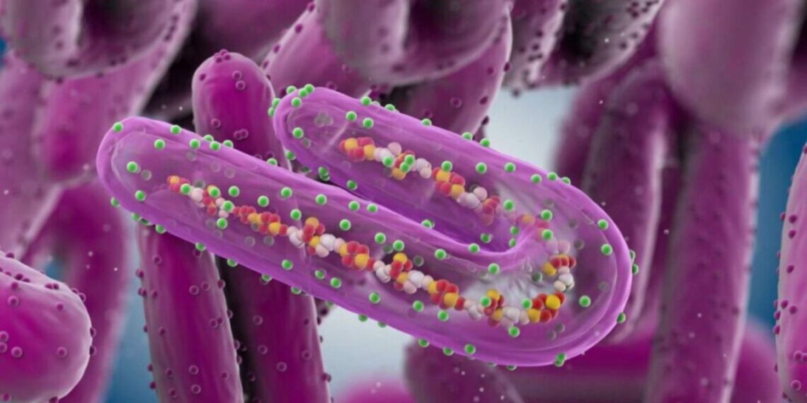 México emite alerta por brote de virus de Marburgo en Ruanda