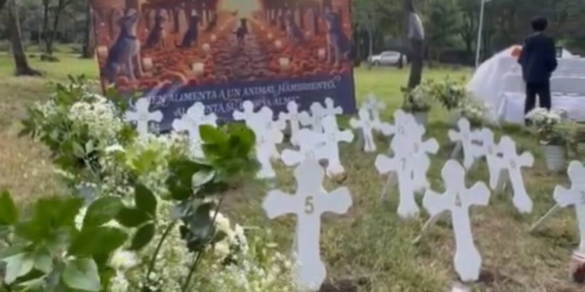 Colocan ofrenda para perritos asesinados en el Bosque de Nativitas, Xochimilco