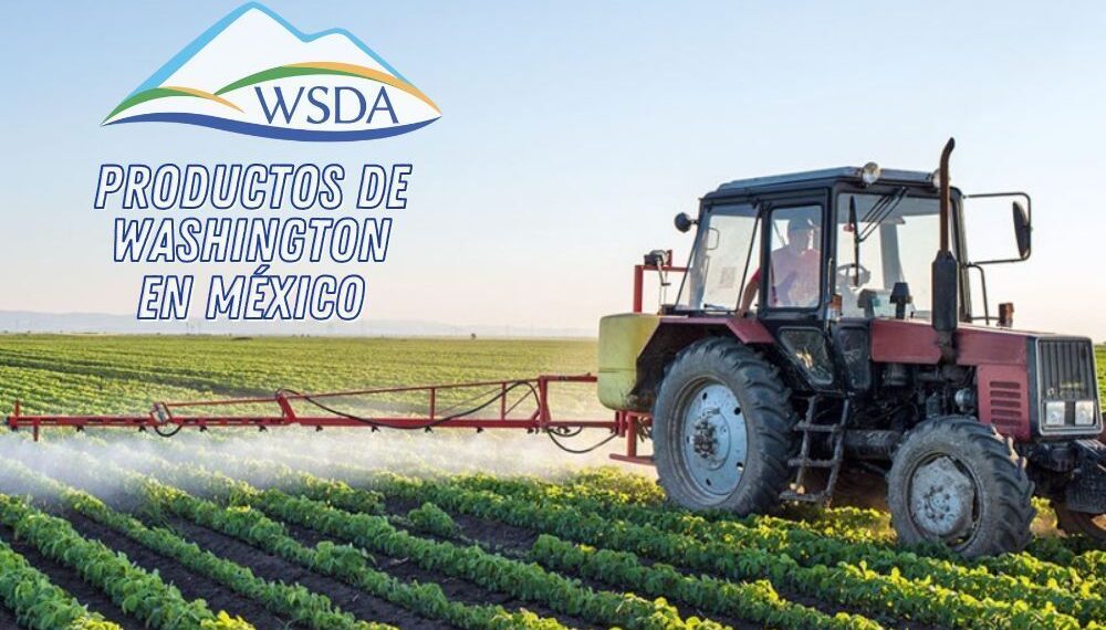 Los mejores productos de Washington llegan a México