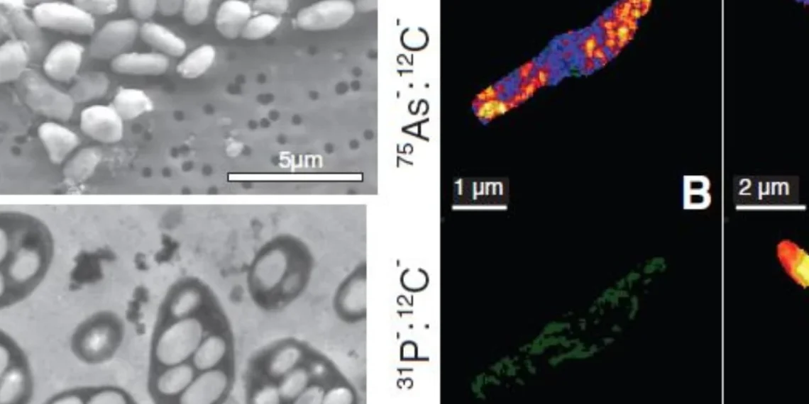 Desde 2010 la NASA prometió que confirmaría existencia de vida extraterrestre