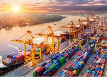 Diana Foullon Gómez, comercio exterior y aduanas