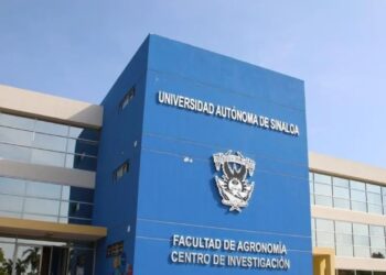 Hallan 5 cuerpos abandonados frente a la Facultad de Agronomía de la UAS en Sinaloa