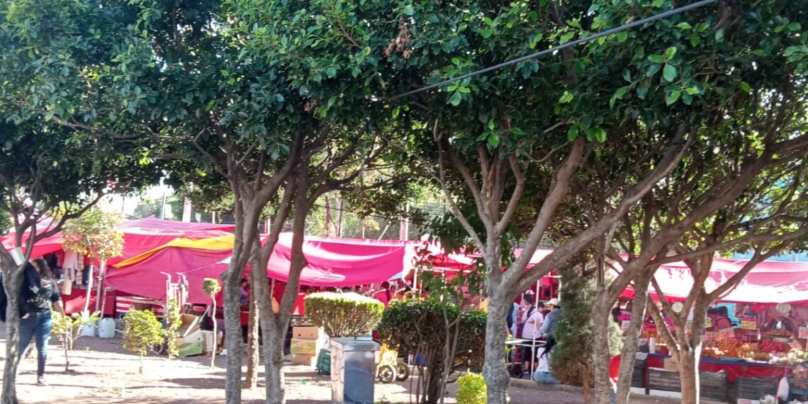 El tianguis finsemanal de Villa Panamericana, un suplicio para miles de vecinos