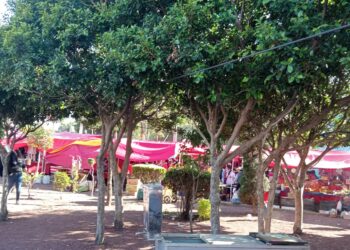 El tianguis finsemanal de Villa Panamericana, un suplicio para miles de vecinos