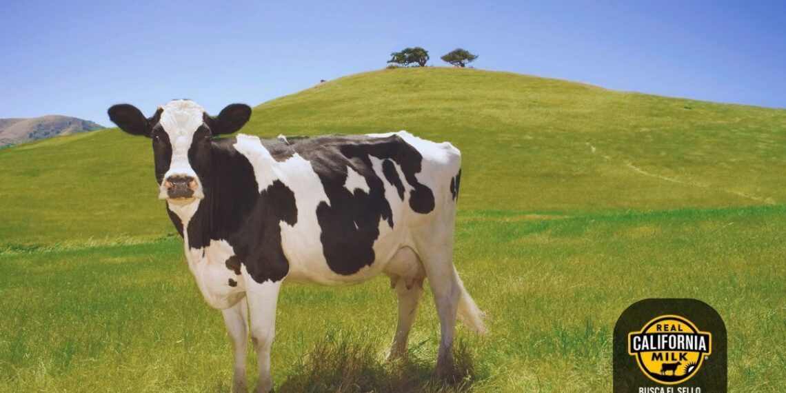 El Consejo Lácteo de California tiene un impacto positivo en la sostenibilidad