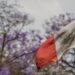 ONU adopta resolución impulsada por México sobre crímenes de lesa humanidad