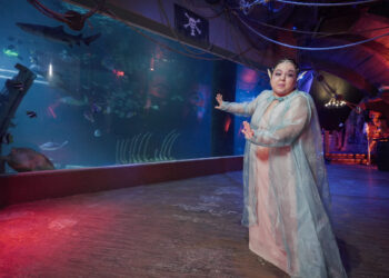 !Vive la Navidad en Acuario Inbursa!