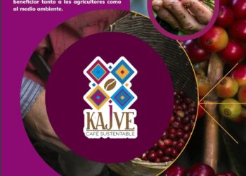 Presentan resultados de iniciativa sustentable que potencializa la Cafeticultura mexicana
