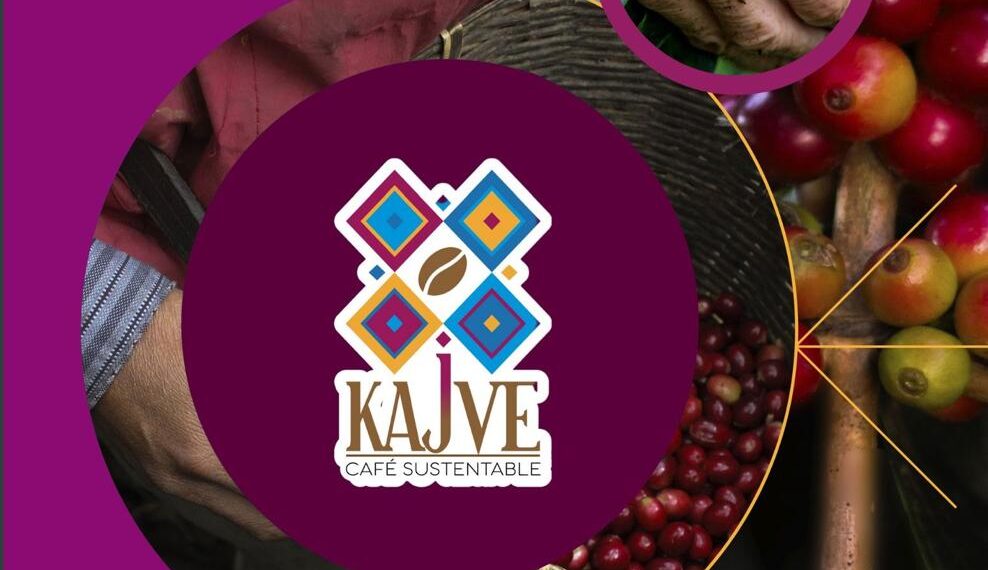 Presentan resultados de iniciativa sustentable que potencializa la Cafeticultura mexicana