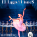 Regresa el Lago de los Cisnes Russian State Ballet Mari a México
