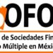 ASOFOM nombra a Javier Garza Hoeffer Presidente del Consejo Directivo Nacional para el periodo 2025-2026