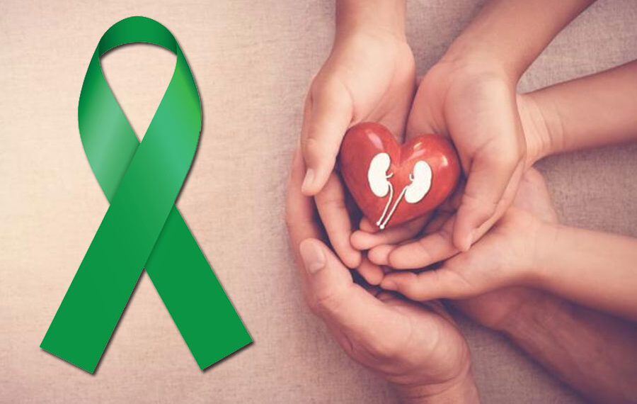 El fin del rechazo de órganos trasplantados está más cerca de lo que imaginas