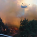 Políticos a cargo de incendios en Los Ángeles son incompetentes: Trump