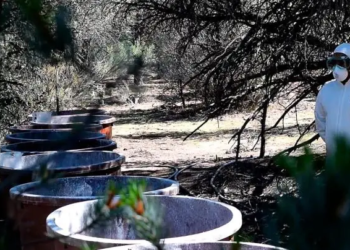 Marina desmantela dos narcolaboratorios en Sinaloa