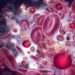Necesario hablar de prevención y de diagnóstico oportuno del cáncer, especialistas