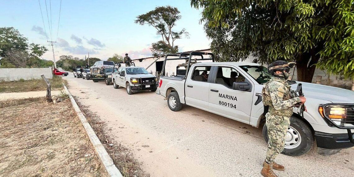 Semar asegura armas, droga y hasta un pony en Altamira, Tamaulipas