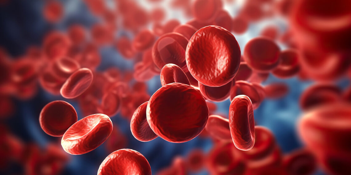 Control de infecciones en la sangre después de un trasplante