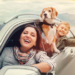 Consejos para viajar por carretera con tu mejor amigo de cuatro patas este San Valentín